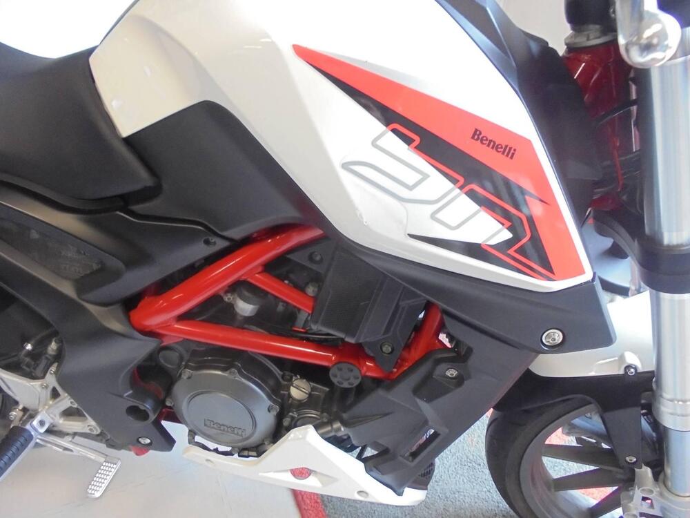 Benelli BN 251 (2017 - 20) (9)