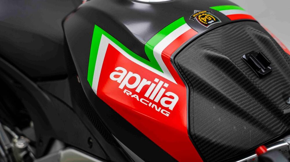 Aprilia RSV4 1100 Factory (2019 - 20) (18)