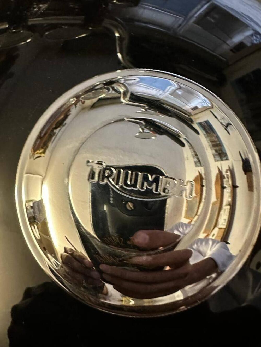 Triumph Bonneville T100 (2008 - 16) (13)