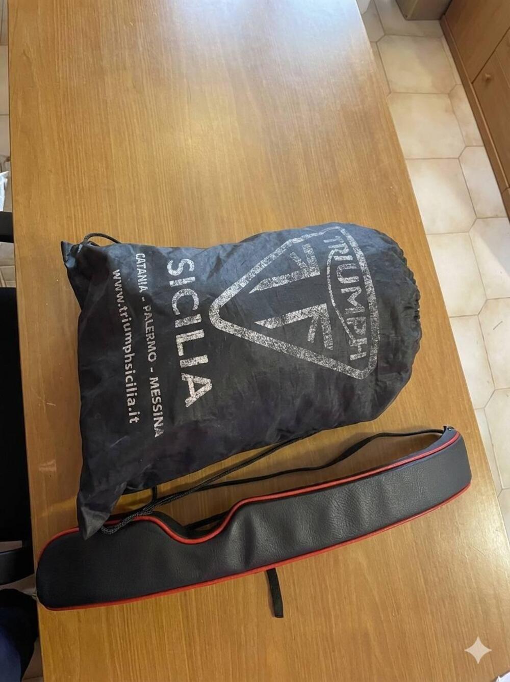 Triumph Bonneville T100 (2008 - 16) (19)