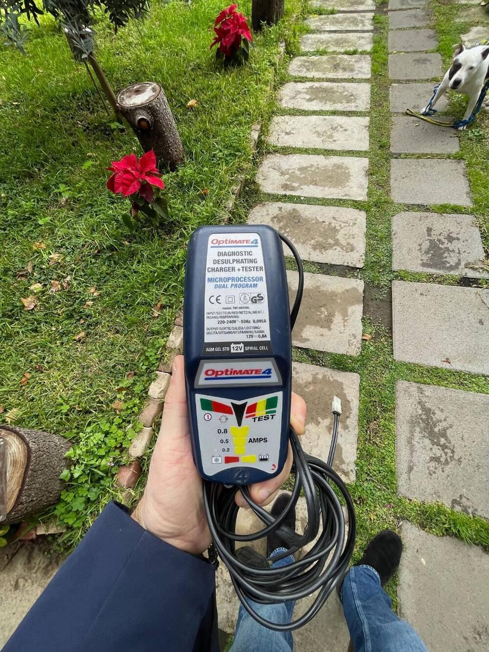 Triumph Bonneville T100 (2008 - 16) (11)