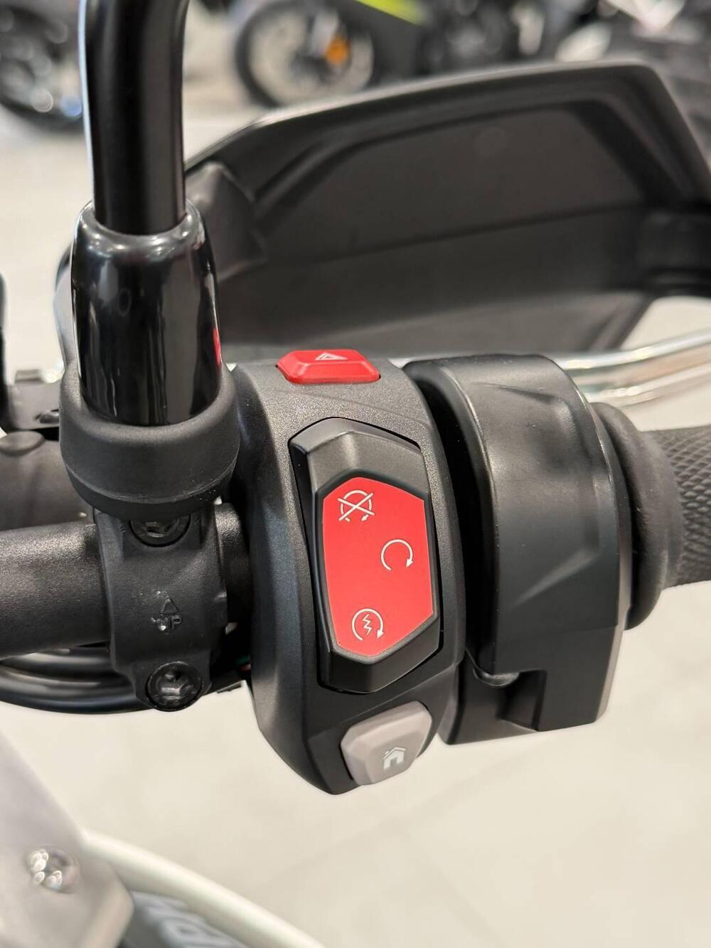 Triumph Tiger 900 Rally Pro (2020 - 23) (11)