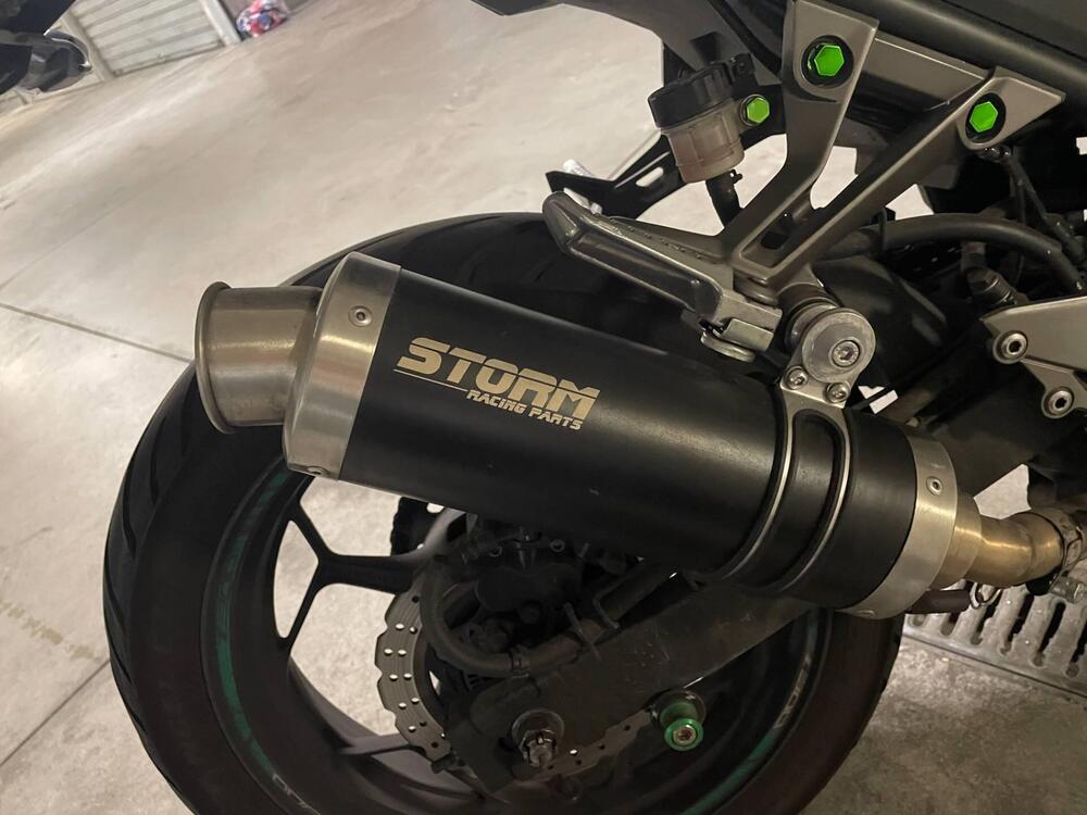 Kawasaki Z 300 ABS (2015 - 16) (6)