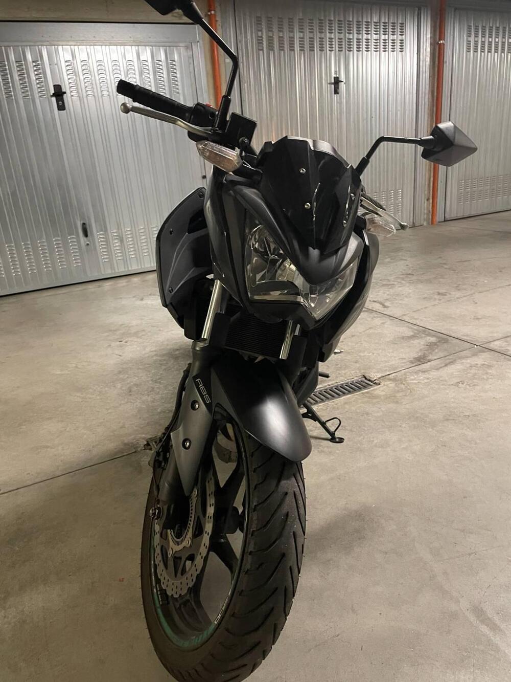 Kawasaki Z 300 ABS (2015 - 16) (2)