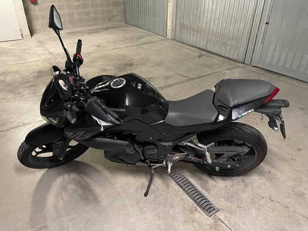 Kawasaki Z 300 ABS (2015 - 16) (3)