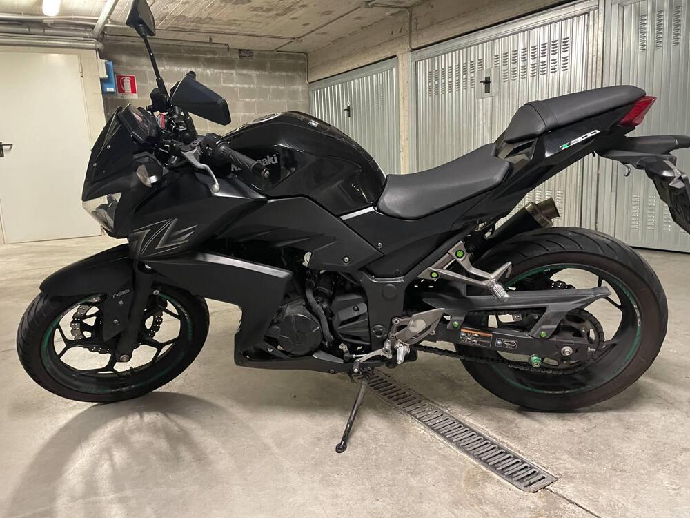 Kawasaki Z 300 ABS (2015 - 16) (4)