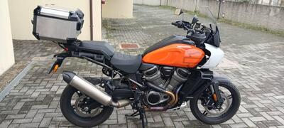 Harley-Davidson Pan America 1250 Special (2020 - 25) usata