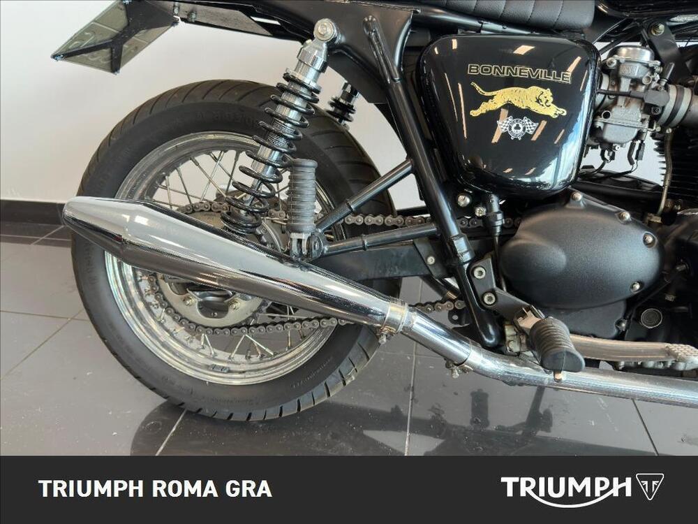 Triumph Bonneville 800 (2002 - 07) (5)