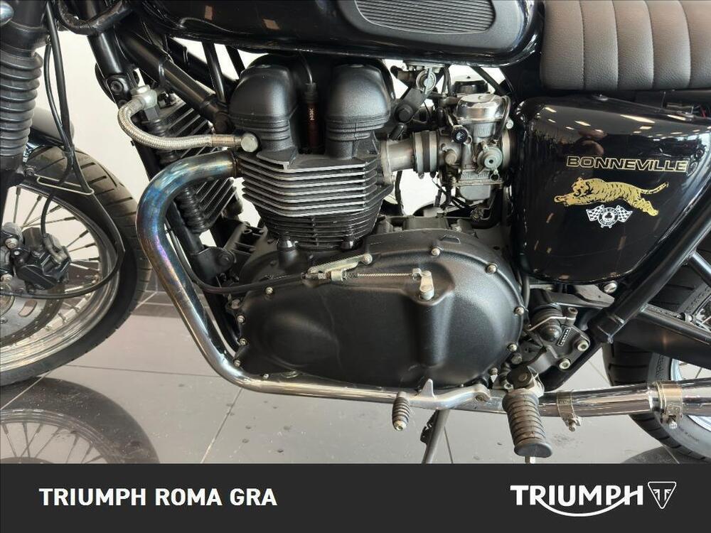 Triumph Bonneville 800 (2002 - 07) (8)