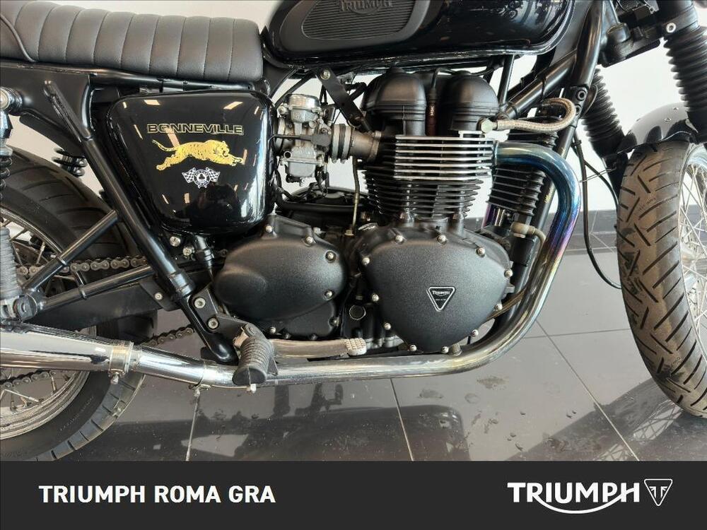Triumph Bonneville 800 (2002 - 07) (6)