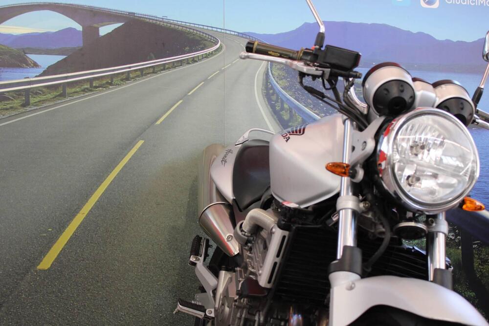 Honda Hornet 600 (2003 - 04) (10)