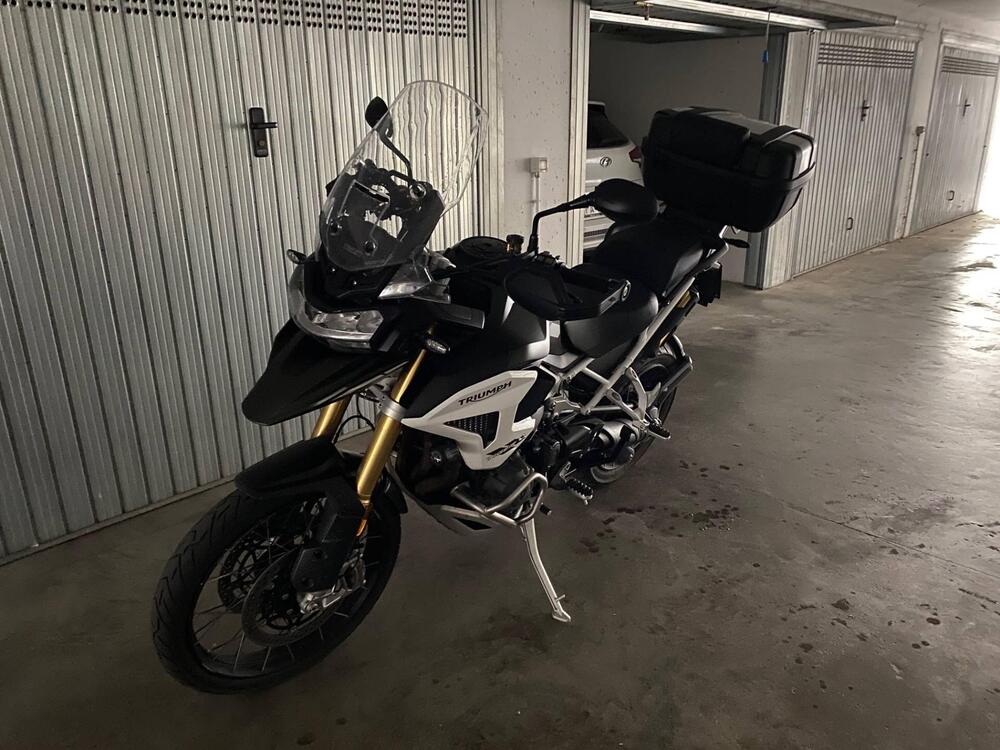 Triumph Tiger 1200 Rally Pro (2022 - 23) (3)