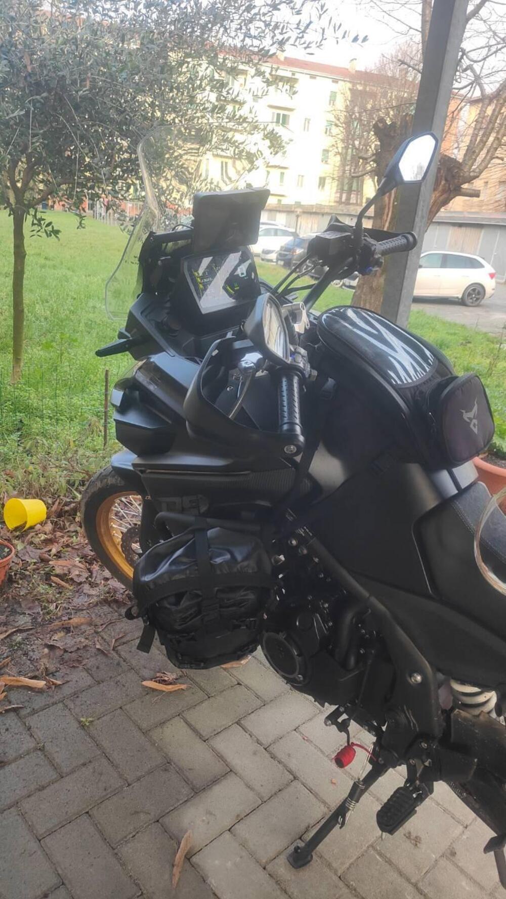 Voge Valico 525DSX (2023 - 26) (3)