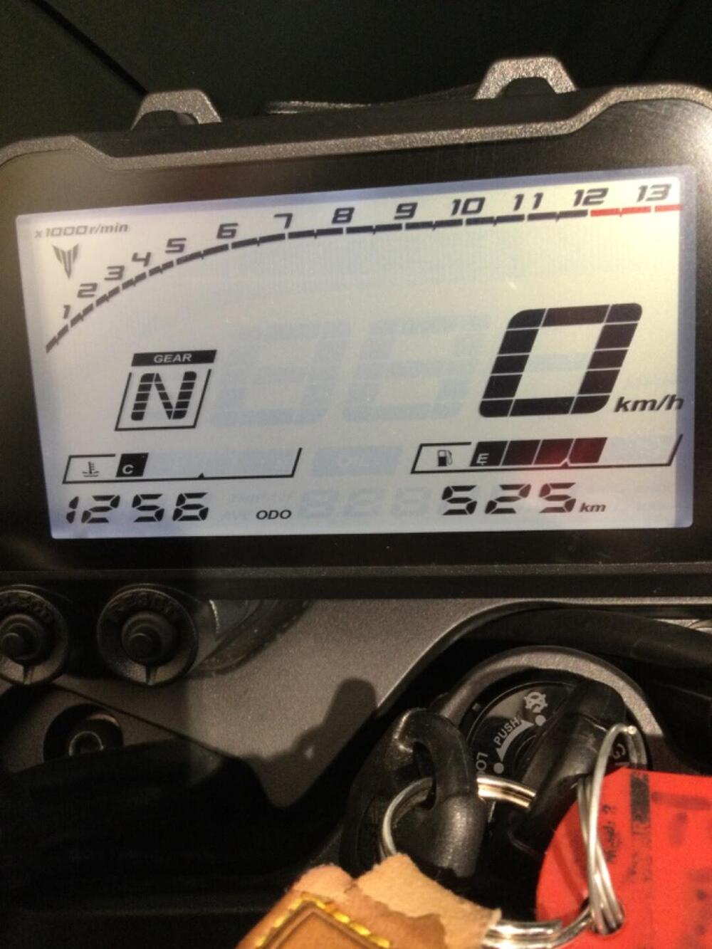 Yamaha MT-03 (2022 - 24) (3)