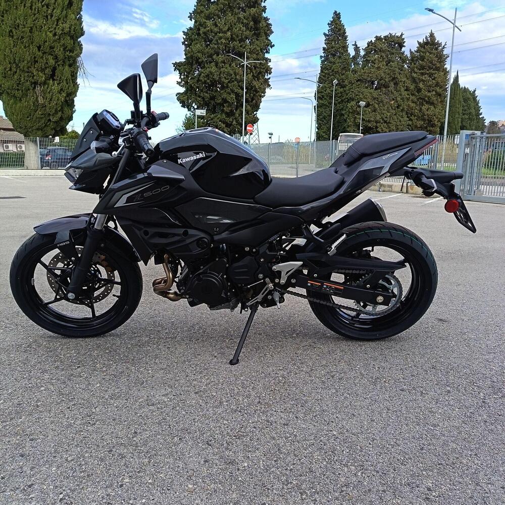 Kawasaki Z 500 (2024 - 26) (5)