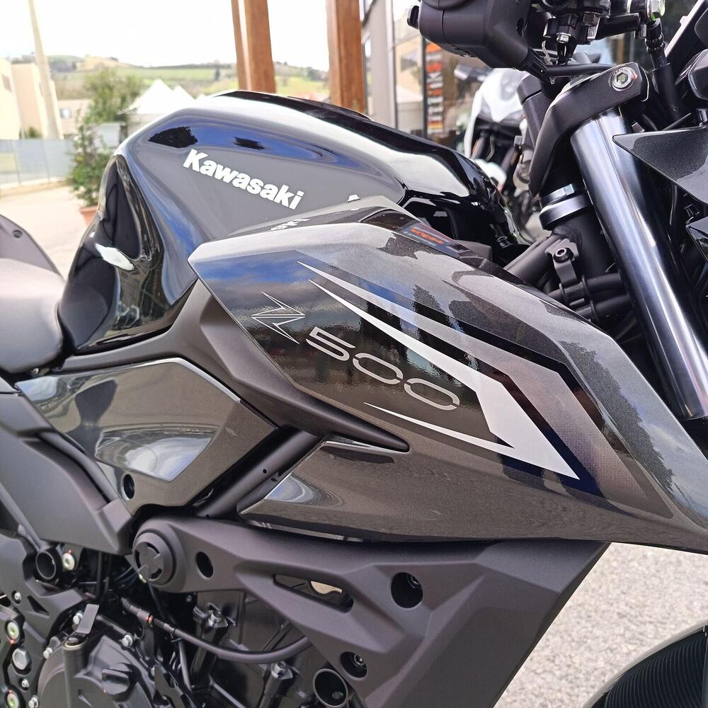 Kawasaki Z 500 (2024 - 26) (8)