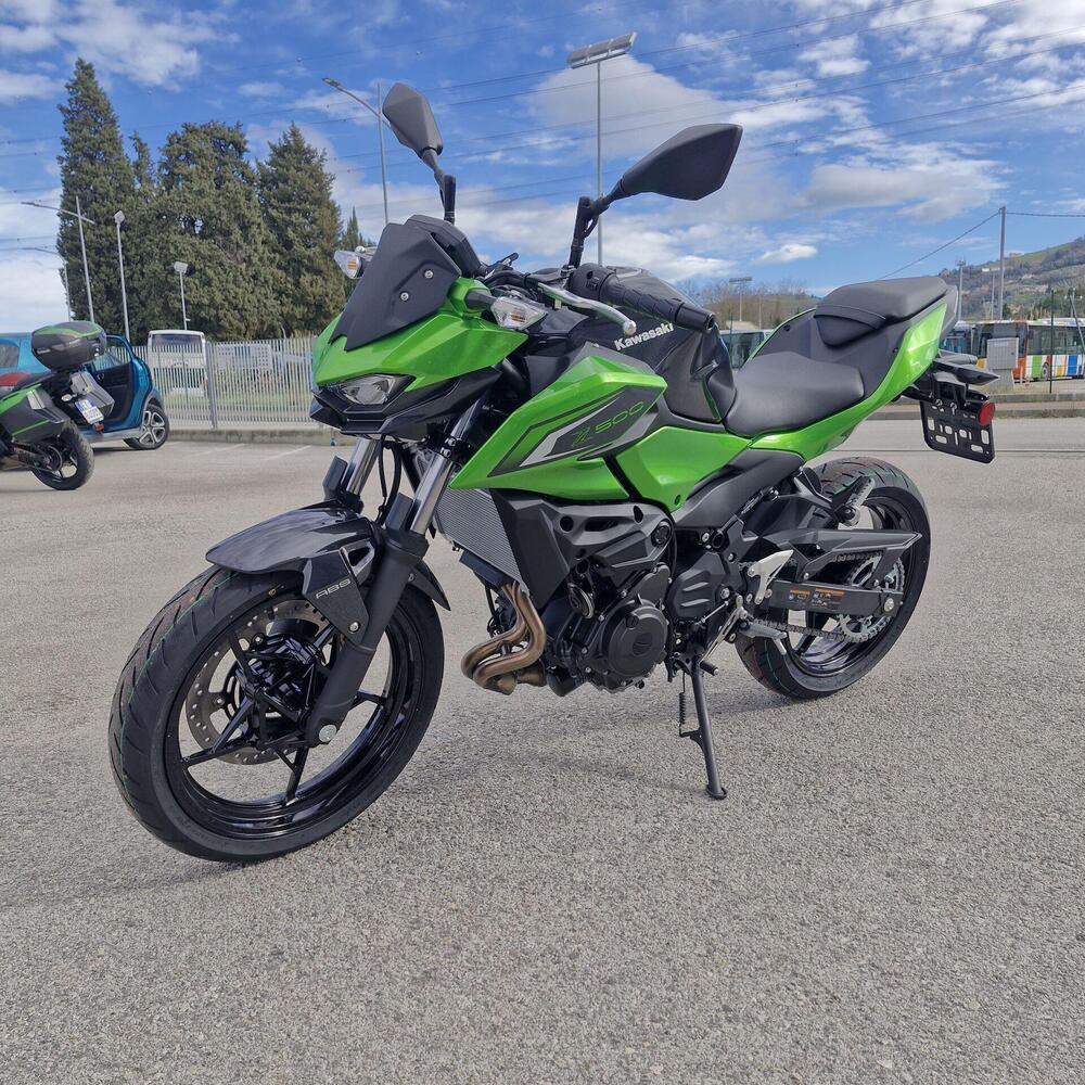 Kawasaki Z 500 (2024 - 26) (6)