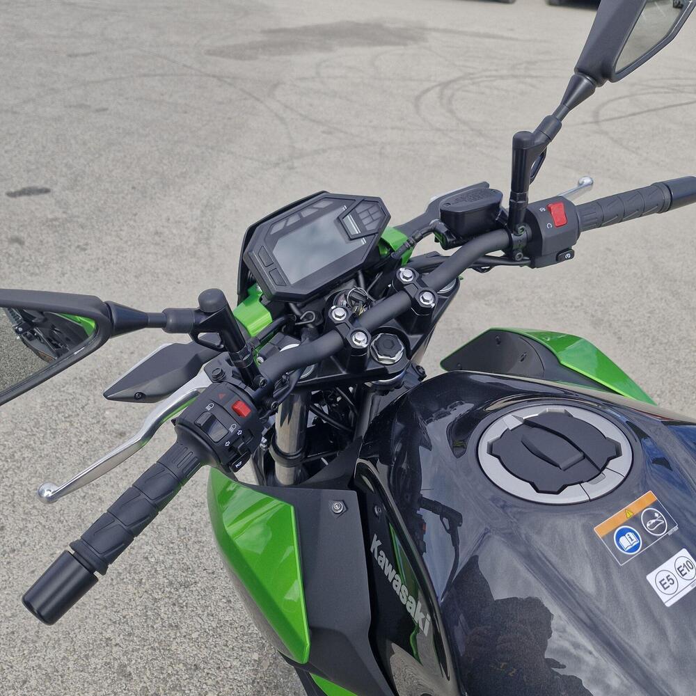 Kawasaki Z 500 (2024 - 26) (7)