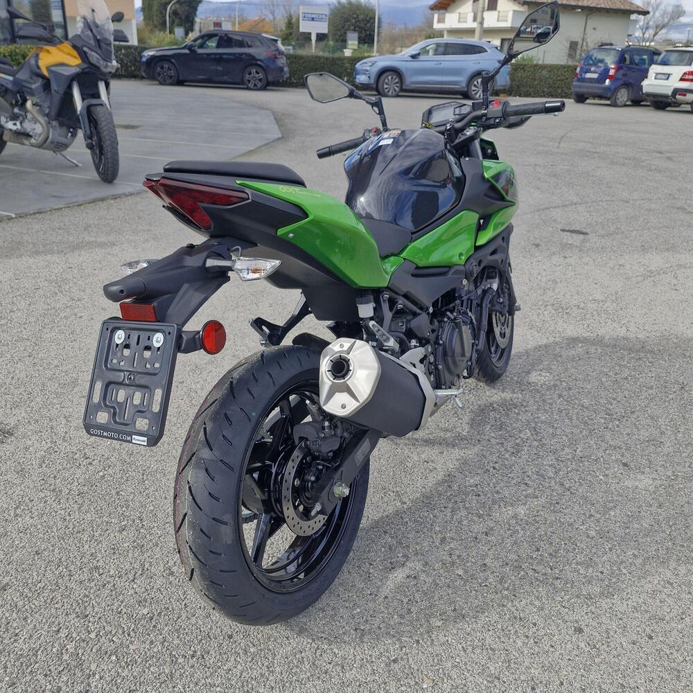 Kawasaki Z 500 (2024 - 26) (9)