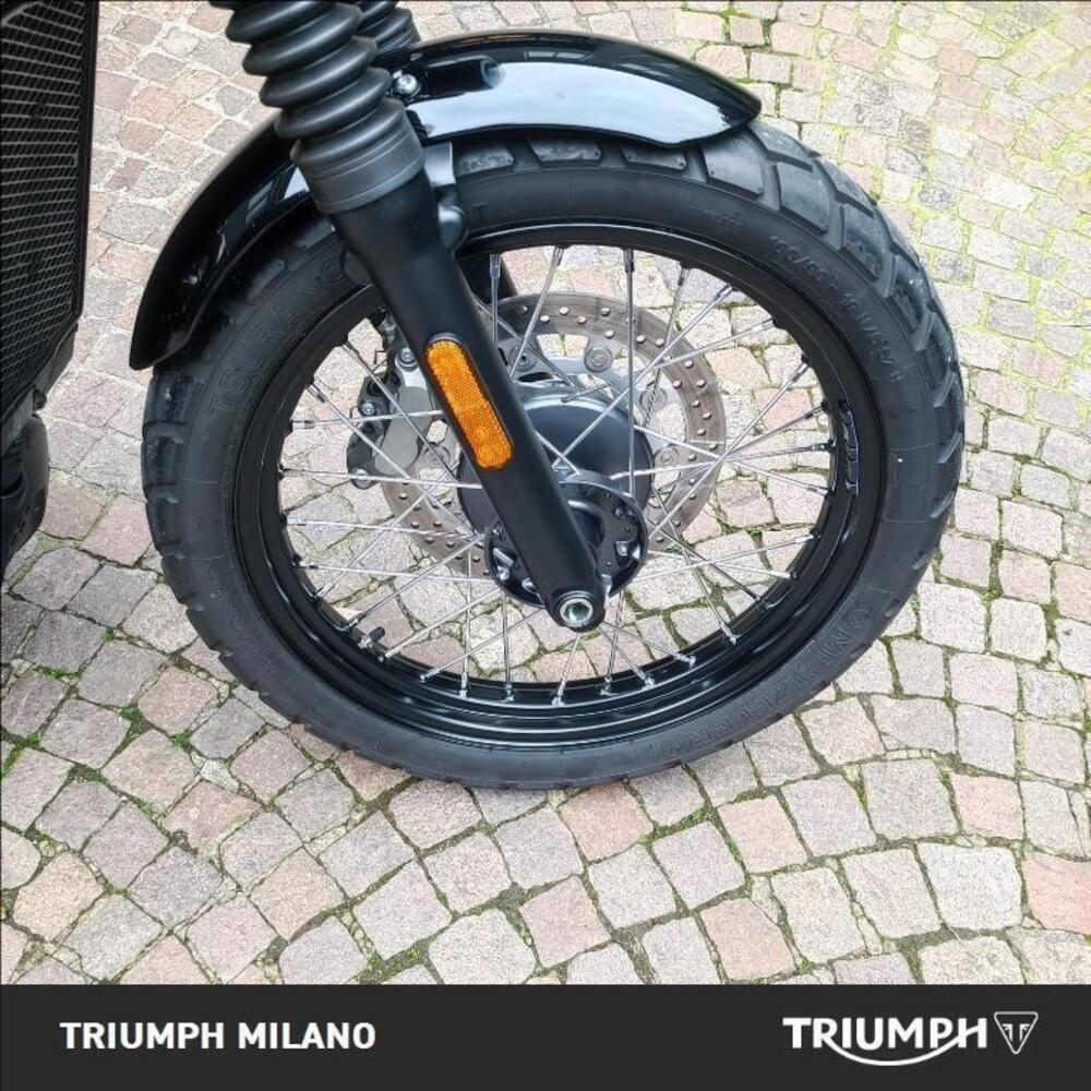 Triumph Scrambler 900 (2023 - 25) (4)