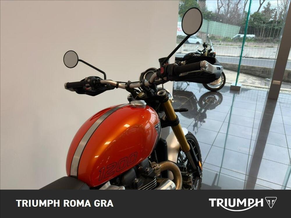 Triumph Scrambler 1200 XE (2024 - 25) (5)