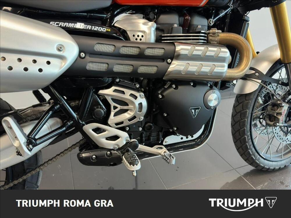 Triumph Scrambler 1200 XE (2024 - 25) (9)