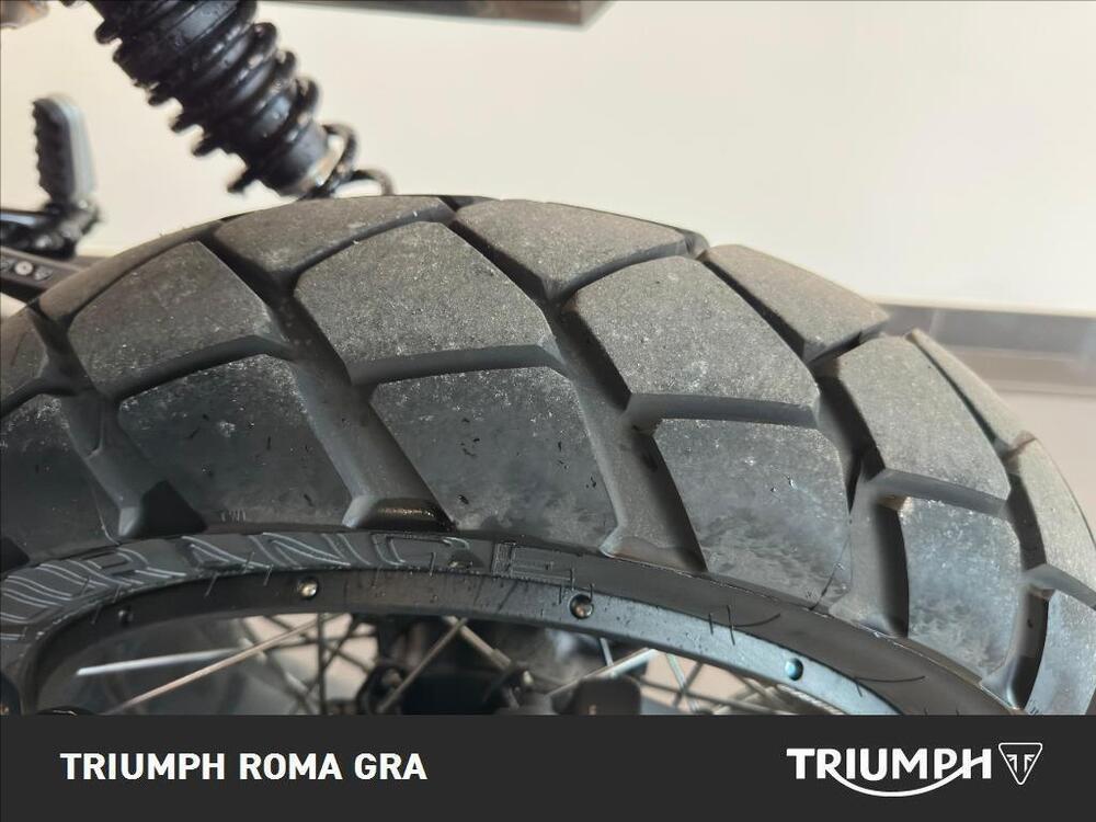Triumph Scrambler 1200 XE (2024 - 25) (17)