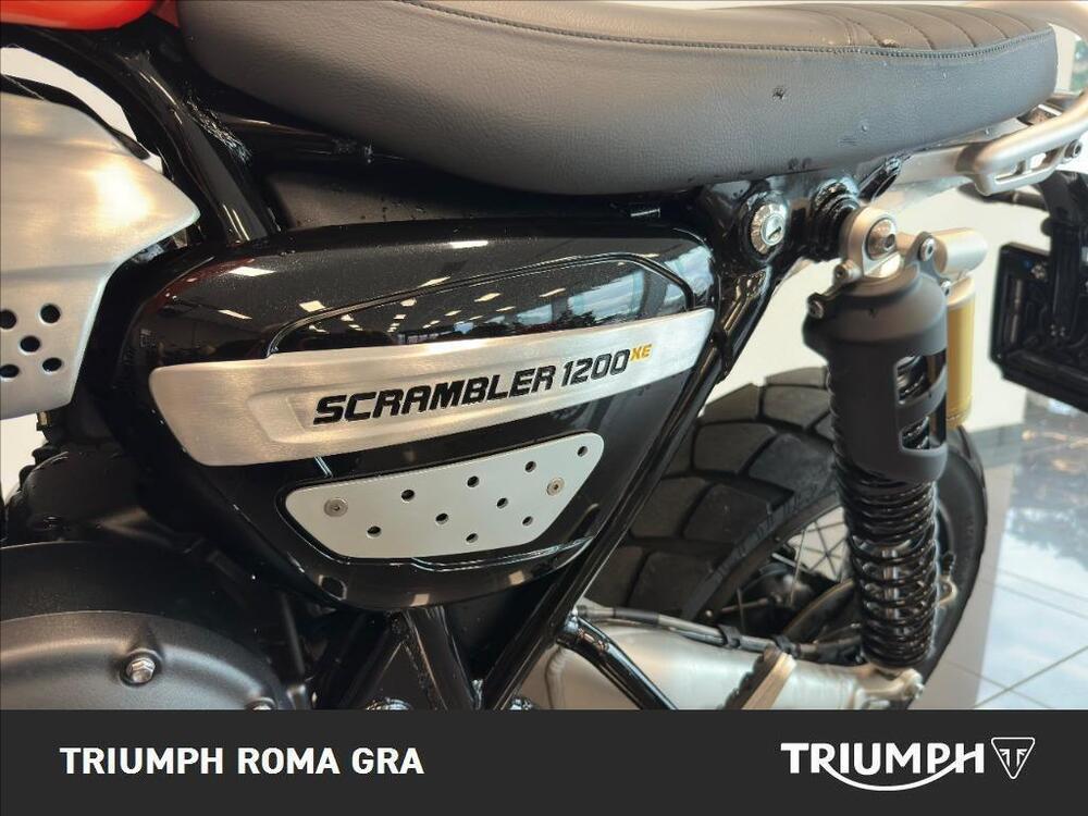 Triumph Scrambler 1200 XE (2024 - 25) (12)