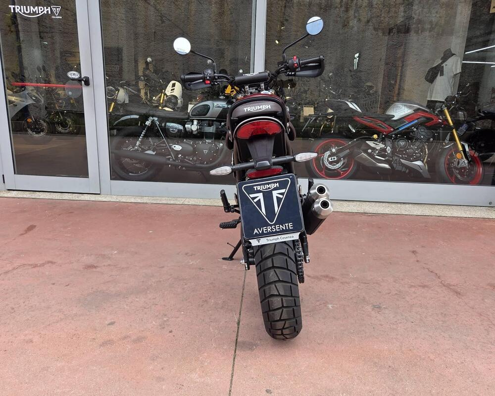 Triumph Scrambler 400 X (2024 - 26) (10)