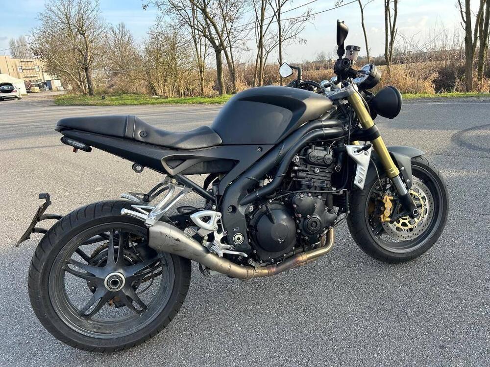 Triumph Speed Triple 1050 (2005 - 11) (6)