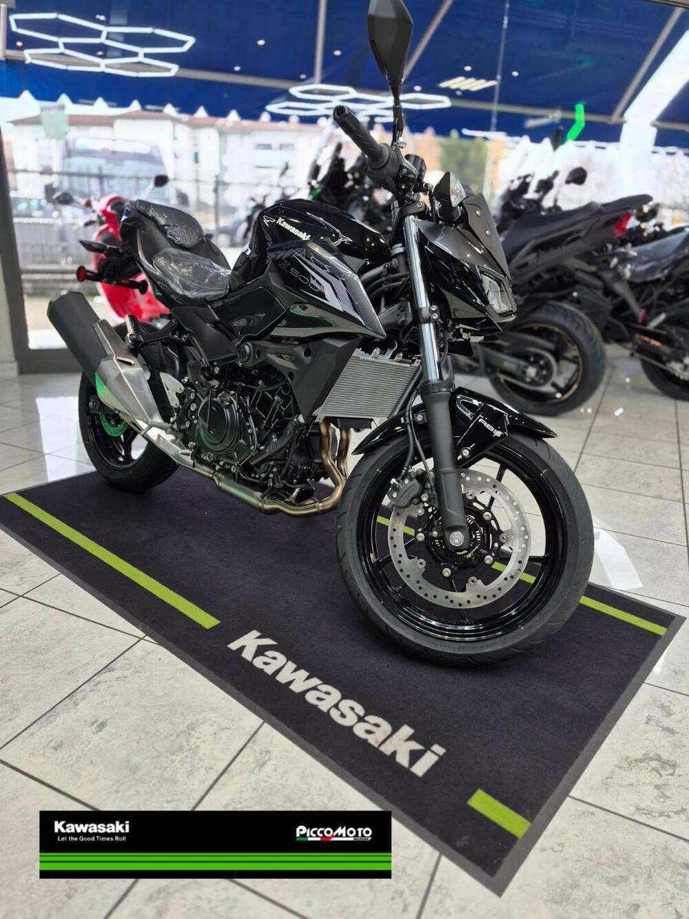Kawasaki Z 500 (2024 - 26) (3)