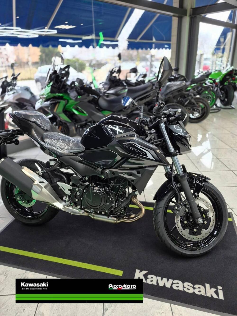 Kawasaki Z 500 (2024 - 26) (4)