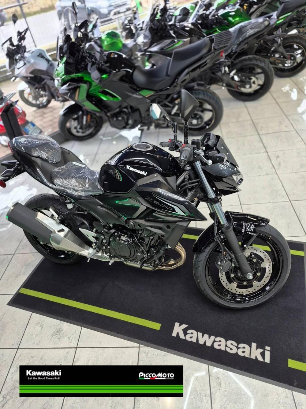 Kawasaki Z 500 (2024 - 26) (5)