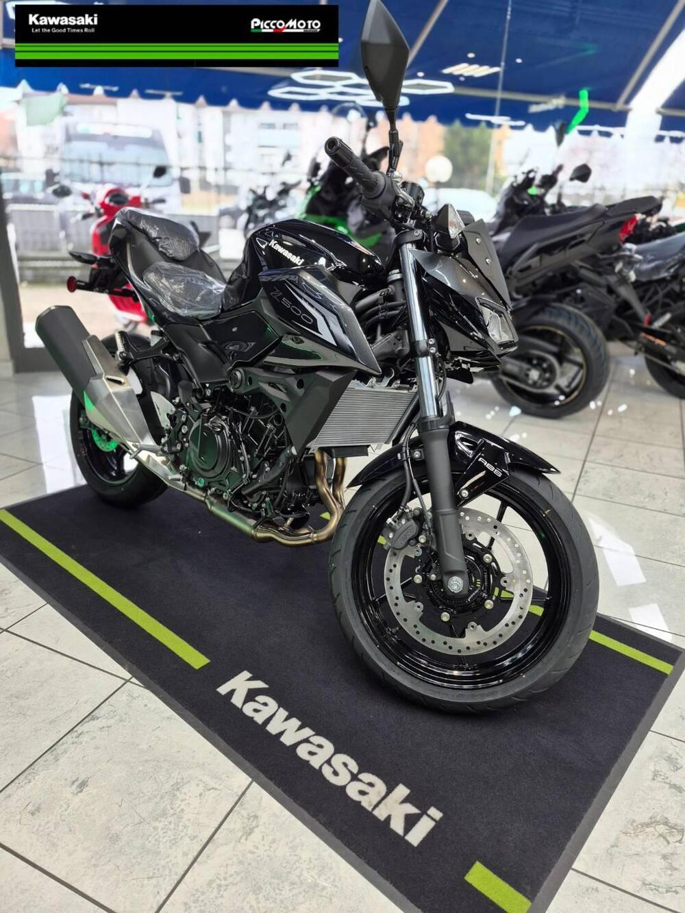 Kawasaki Z 500 (2024 - 26) (6)
