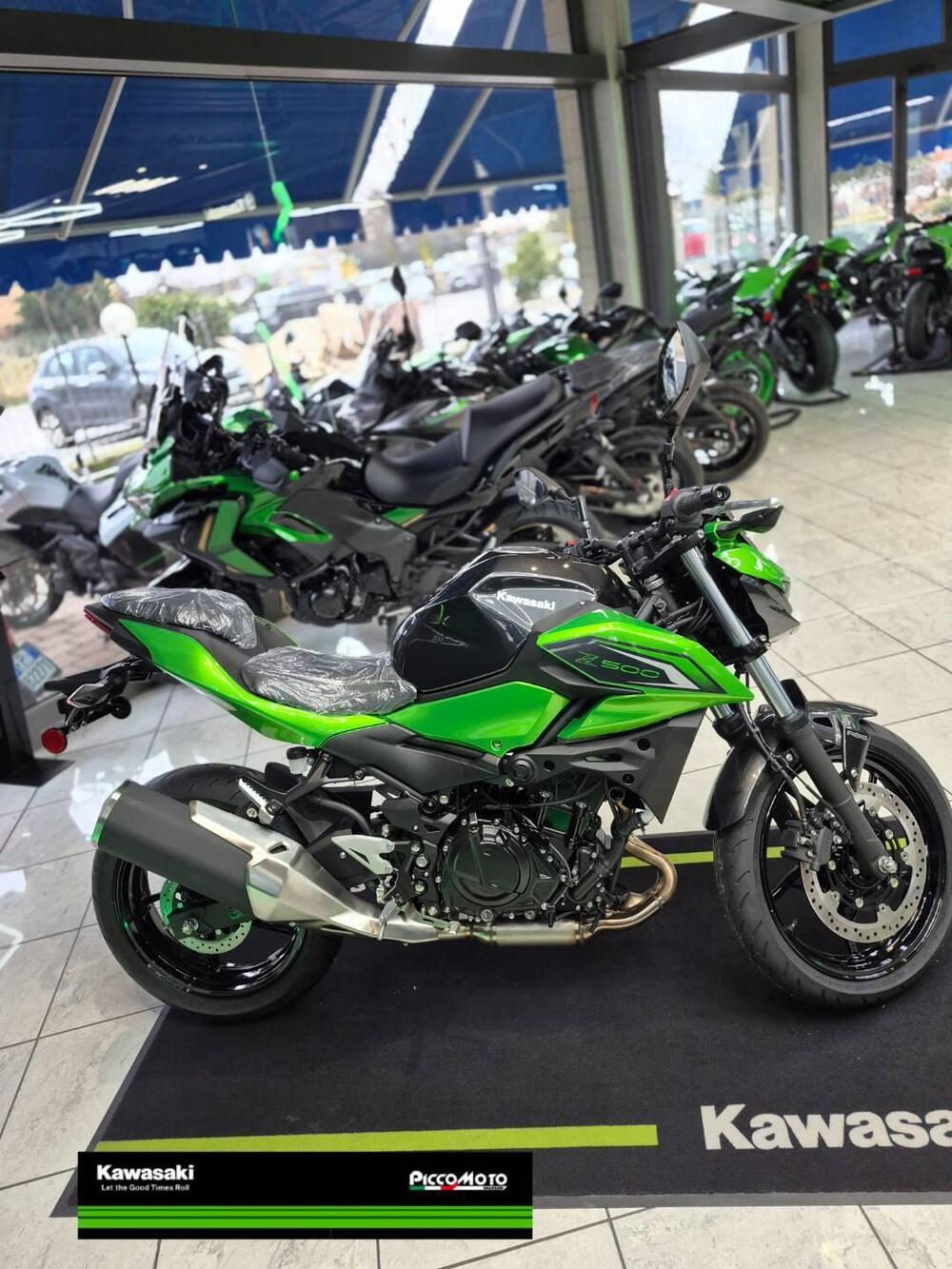 Kawasaki Z 500 (2024 - 26) (6)