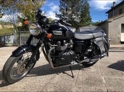 Triumph Bonneville T100 (2008 - 16) usata