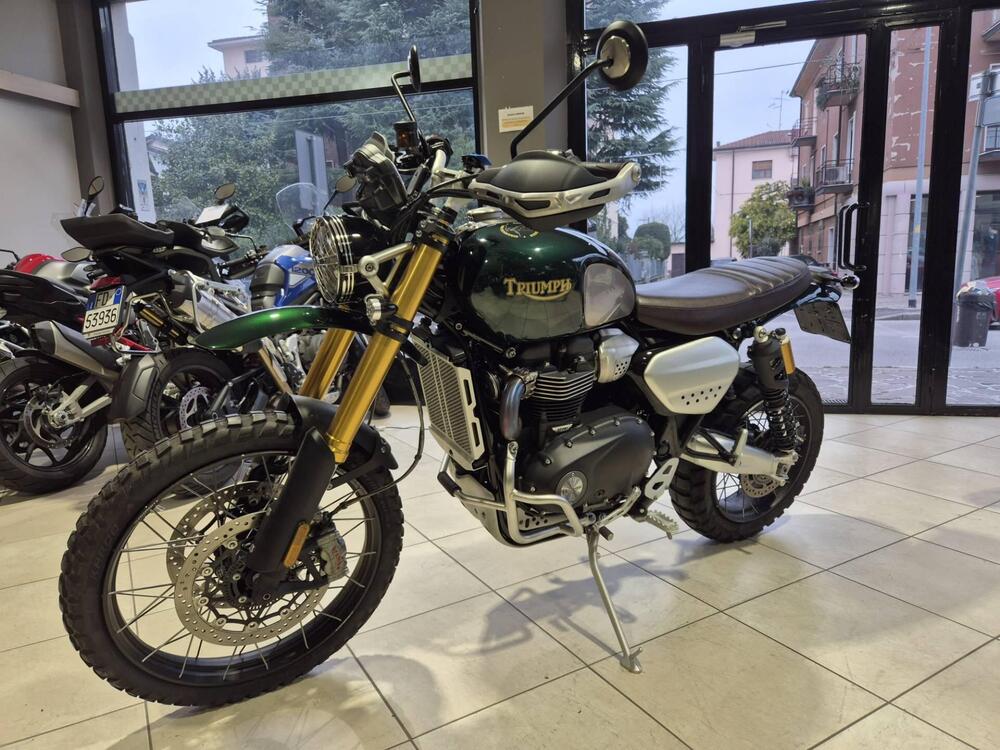 Triumph Scrambler 1200 Steve McQueen Edition (2021 - 22) (5)