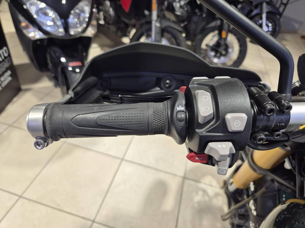 Triumph Scrambler 1200 Steve McQueen Edition (2021 - 22) (9)