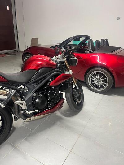 Triumph Speed Triple 1050 (2011 - 13) usata