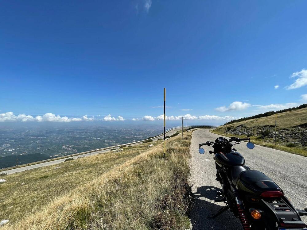 Harley-Davidson 750 Street Rod (2017 - 20) - XG 750 (5)