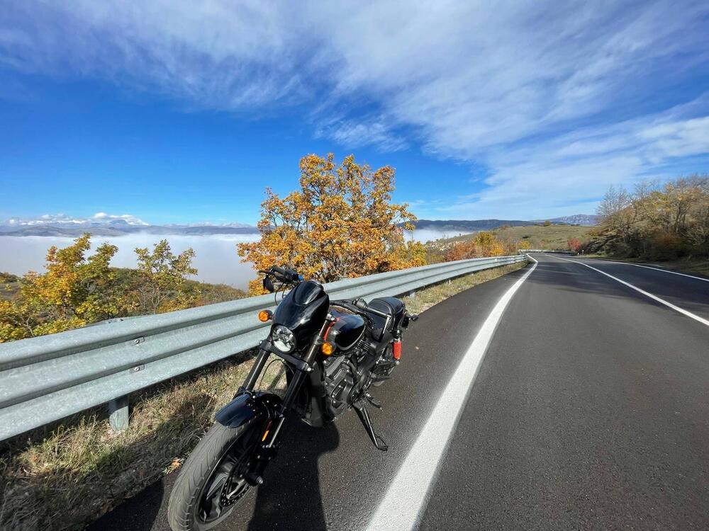 Harley-Davidson 750 Street Rod (2017 - 20) - XG 750 (7)