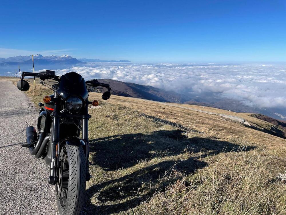 Harley-Davidson 750 Street Rod (2017 - 20) - XG 750 (11)