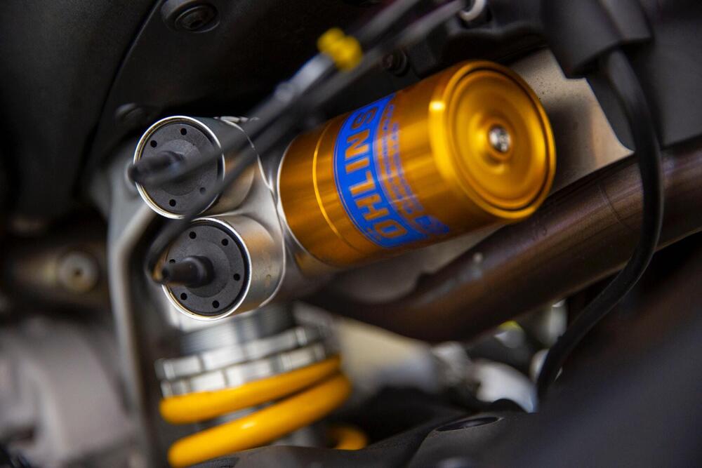 Ducati Panigale V4 S 1100 (2018 - 19) (8)