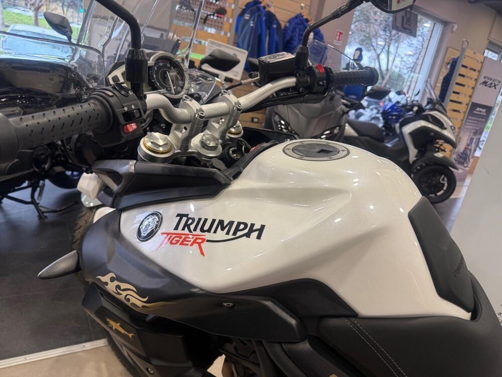 Triumph Tiger 800 XC (2015 - 17) (7)