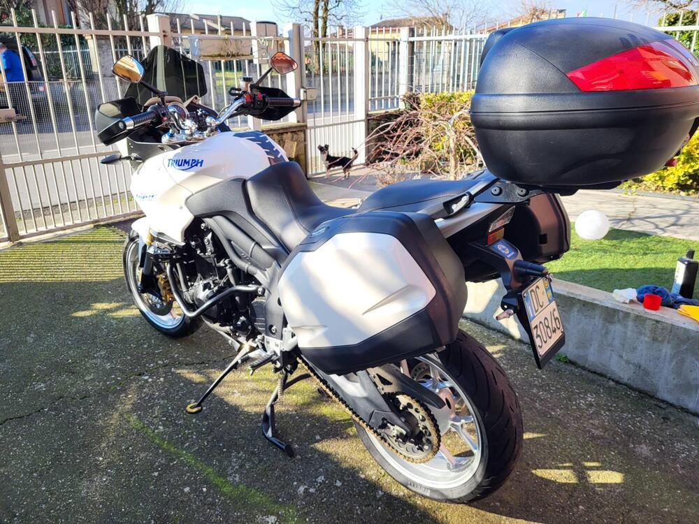 Triumph Tiger 1050 (2006 - 12) (2)