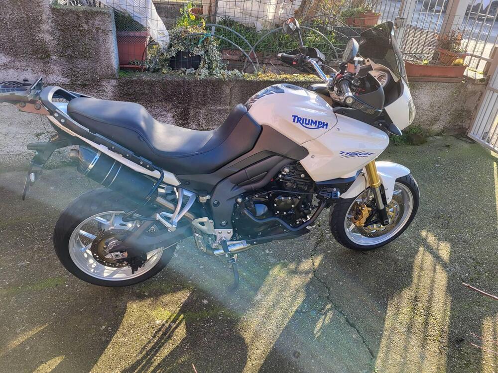 Triumph Tiger 1050 (2006 - 12)