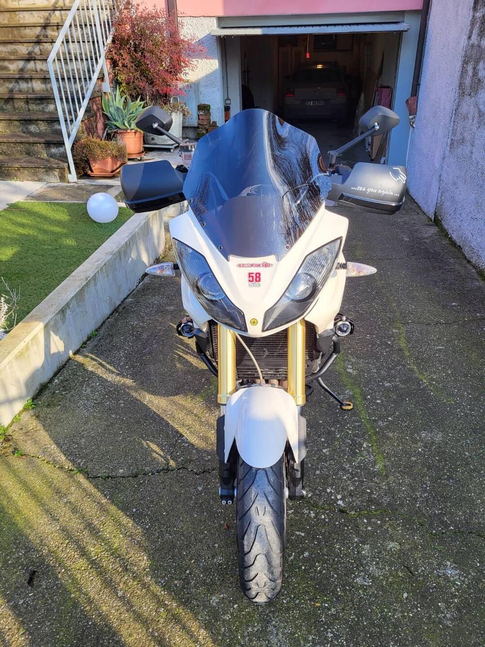 Triumph Tiger 1050 (2006 - 12) (7)