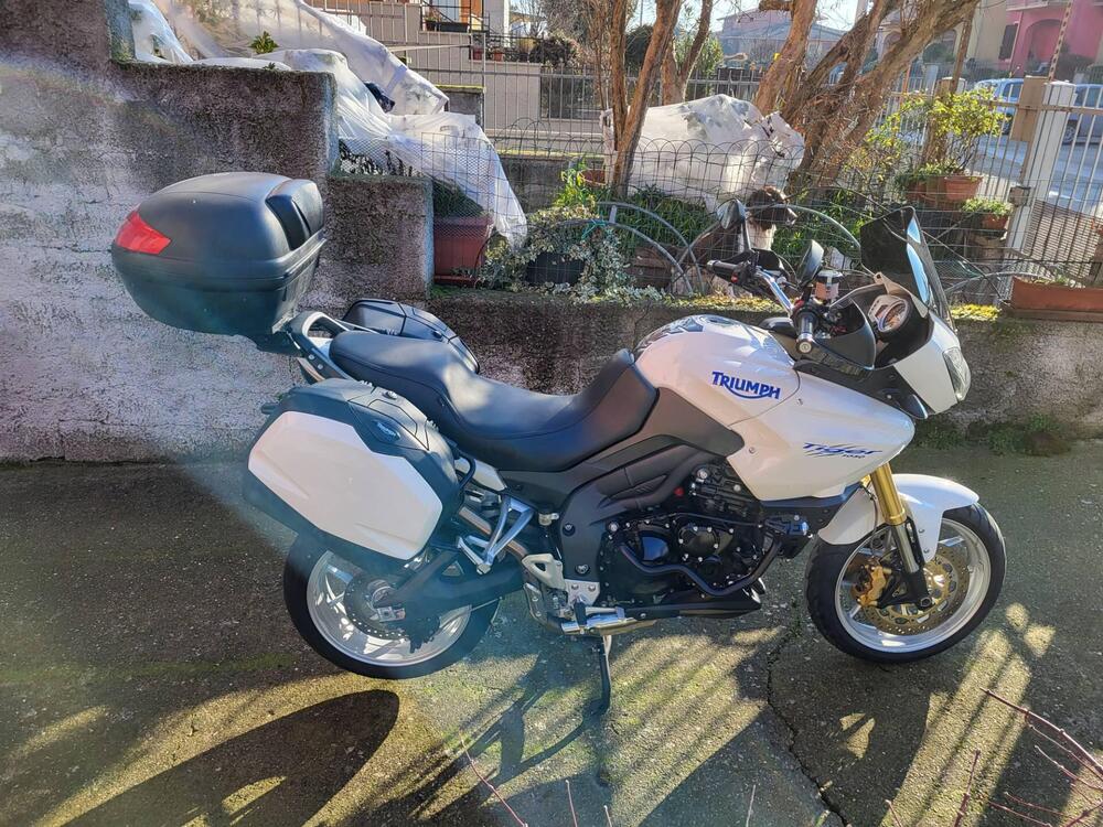 Triumph Tiger 1050 (2006 - 12) (3)