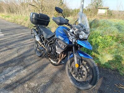 Triumph Tiger 800 XRx (2017 - 18) usata