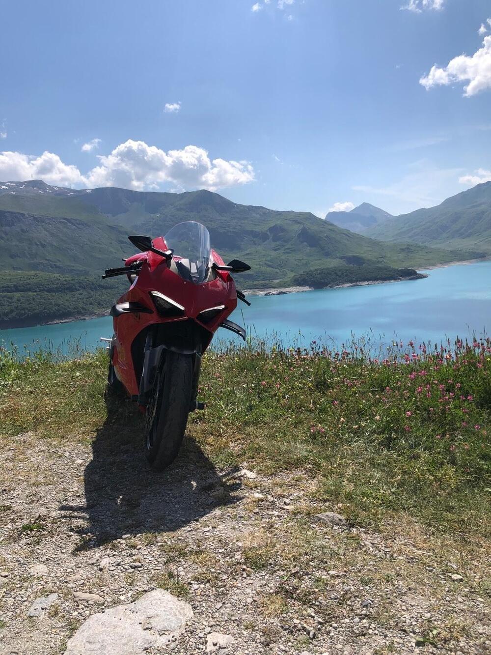 Ducati Panigale V4 (2022 - 24) (3)